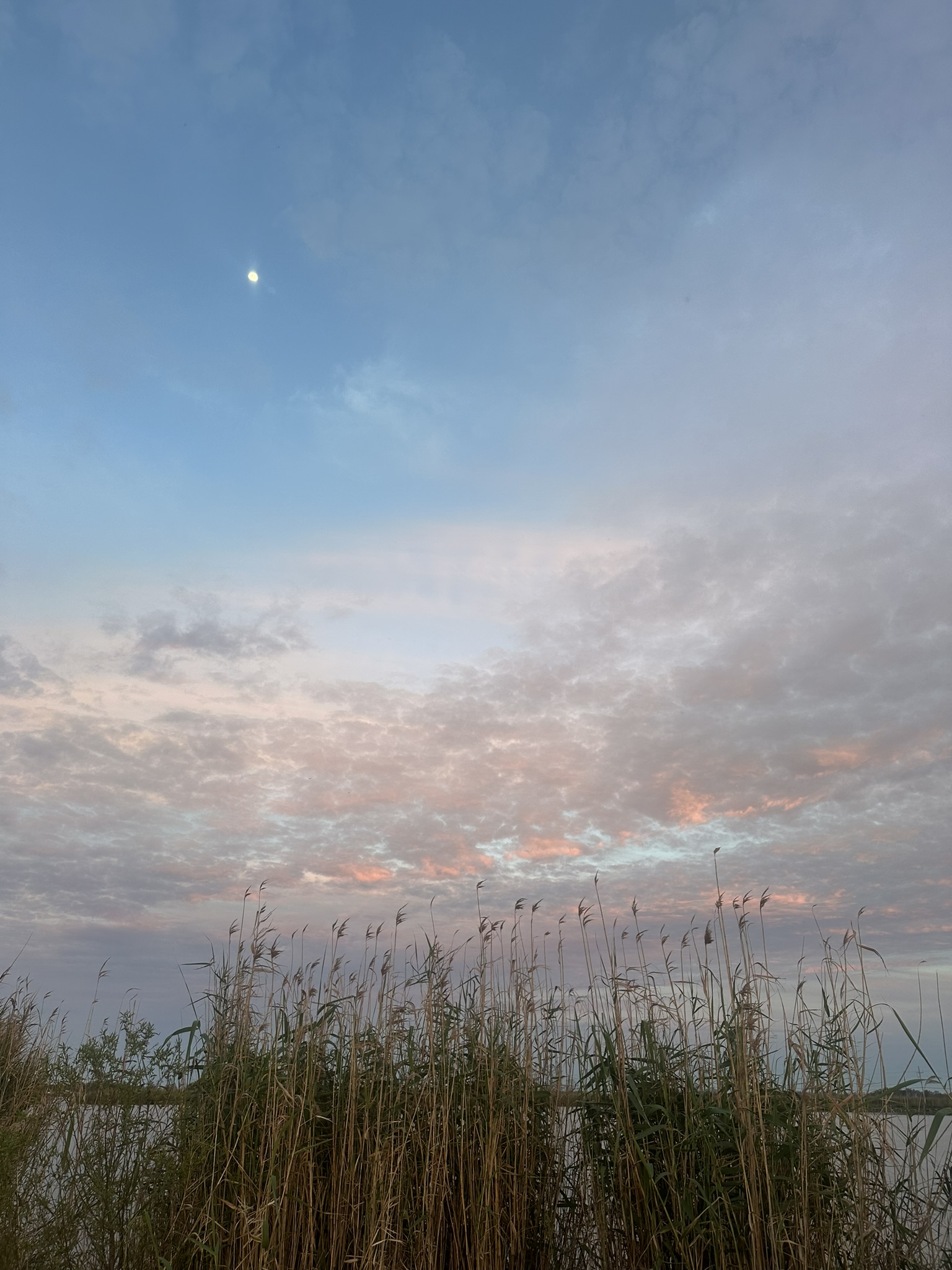 United States-National Parks-Other - Image 2371